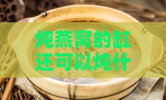 炖燕窝的缸还可以炖什么