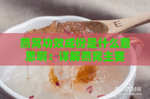 燕窝功效成份是什么意思啊：详解燕窝主要成分及其功效与作用