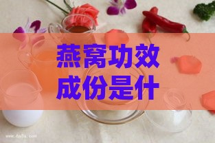 燕窝功效成份是什么意思啊：详解燕窝主要成分及其功效与作用