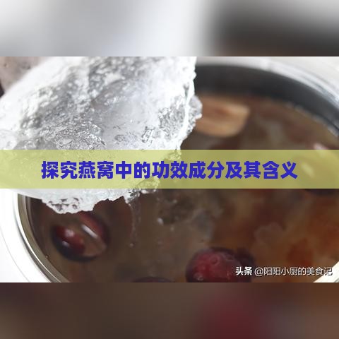 探究燕窝中的功效成分及其含义