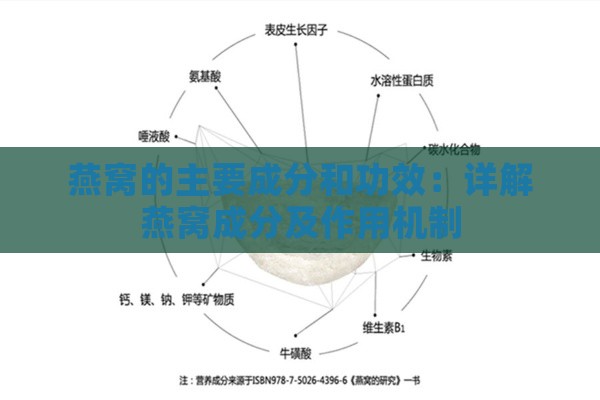 燕窝的主要成分和功效：详解燕窝成分及作用机制