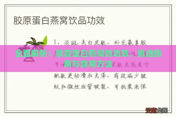 全面解析：胶原蛋白燕窝的功效、挑选指南与食用方法