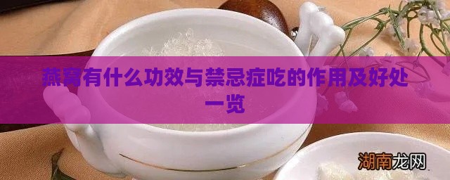 燕窝有什么功效与禁忌症吃的作用及好处一览