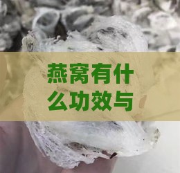 燕窝有什么功效与禁忌症