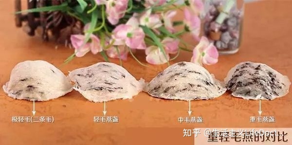 燕窝品质解析：白燕窝的级别、特点及其在官燕、毛燕、草燕中的定位