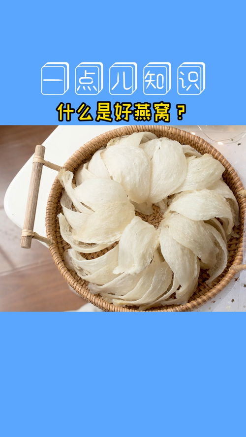 广东燕窝什么好一点