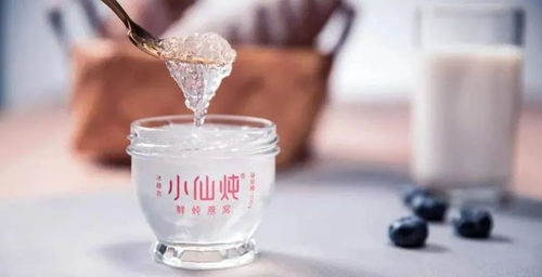 小仙炖燕窝加什么牛奶好吃，如何选择更美味？