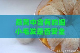 燕窝中含有的细小毛发是否安全食用及处理方法全解析