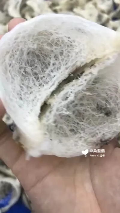 燕窝里面的细毛什么样子