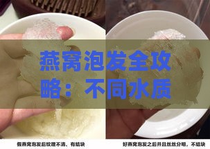 燕窝泡发全攻略：不同水质对挑毛燕窝泡发效果的影响分析