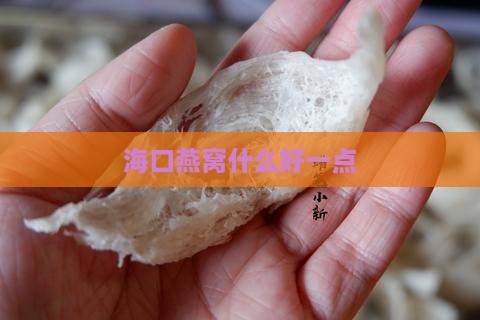 海口燕窝什么好一点