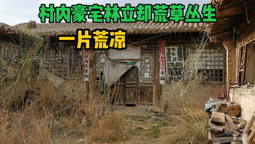 燕窝在屋檐下搭窝好不好及对其右边捅窝对人伤害分析