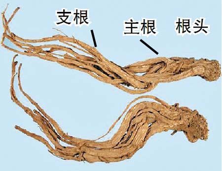 燕窝刷胶与否的判别技巧：教你如何慧眼识真假