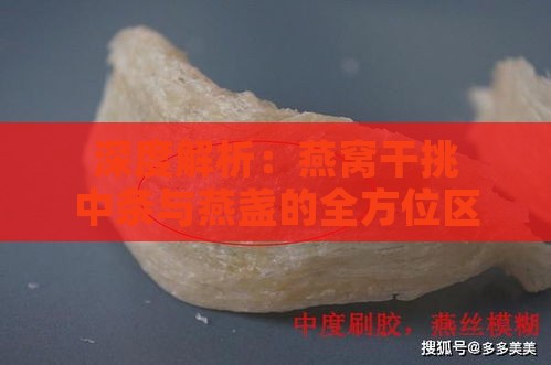 深度解析：燕窝干挑中条与燕盏的全方位区别及选购指南