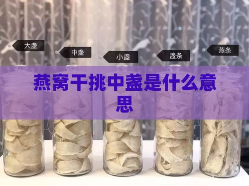 燕窝干挑中盏是什么意思