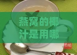 燕窝的椰汁是用哪些材料做的，炖燕窝时应选择哪款椰汁？