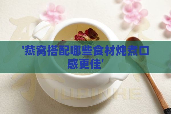 '燕窝搭配哪些食材炖煮口感更佳'