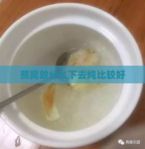 燕窝放什么下去炖比较好