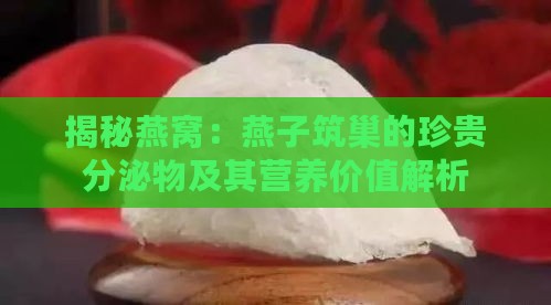 揭秘燕窝：燕子筑巢的珍贵分泌物及其营养价值解析