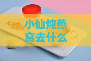 小仙炖燕窝去什么商场买的正品有保障且可靠