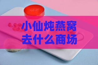 小仙炖燕窝去什么商场买