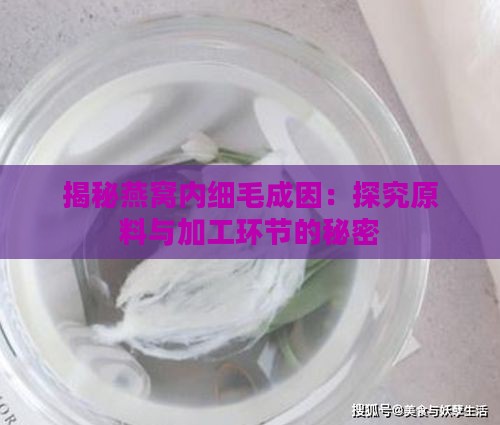 揭秘燕窝内细毛成因：探究原料与加工环节的秘密