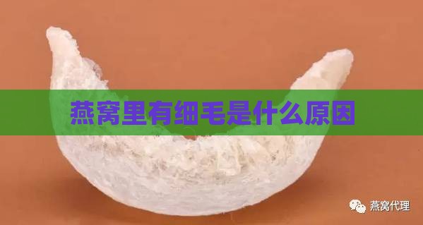 燕窝里有细毛是什么原因