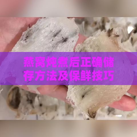 燕窝炖煮后正确储存方法及保鲜技巧全解析