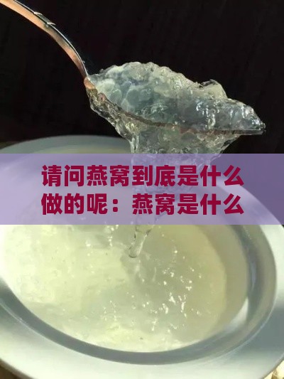 请问燕窝到底是什么做的呢：燕窝是什么做的呀？