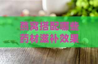 燕窝搭配哪些药材滋补效果更佳？