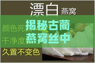 揭秘古蔺燕窝丝中独特的红色成分：神秘来源探究