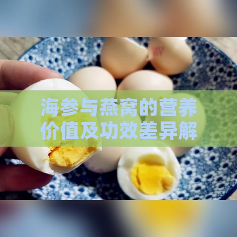 海参与燕窝的营养价值及功效差异解析