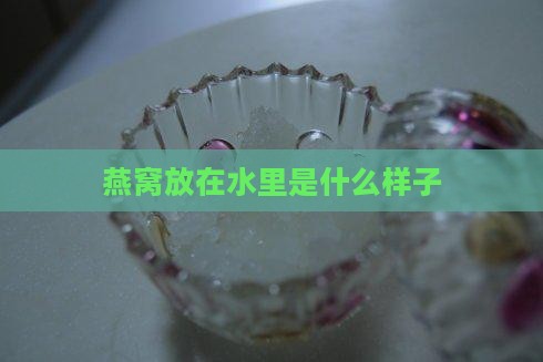 燕窝放在水里是什么样子