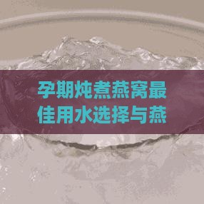 孕期炖煮燕窝更佳用水选择与燕窝搭配建议全解析