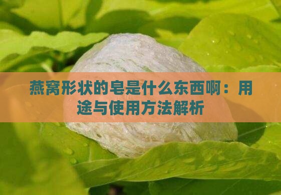 燕窝形状的皂是什么东西啊：用途与使用方法解析