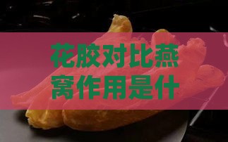 花胶对比燕窝作用是什么