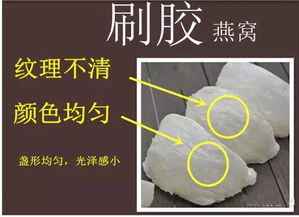 '揭秘燕窝加工：如何正确使用食用胶保持其纯净与营养'