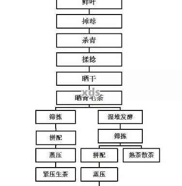 探究纯正燕窝的成分：揭秘燕窝制作的原材料与工艺流程