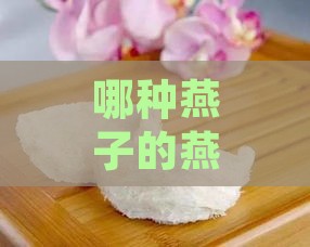 哪种燕子的燕窝可以吃：探讨可食用燕窝的燕子种类与品质优劣