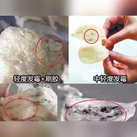 轻微霉变的燕窝外观特征及处理方法