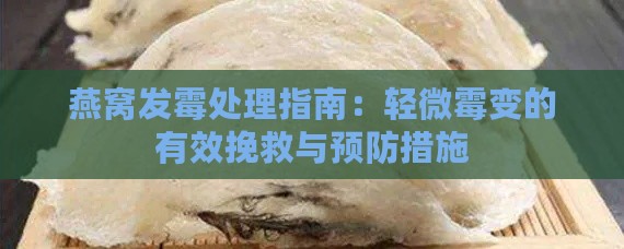 燕窝发霉处理指南：轻微霉变的有效挽救与预防措施