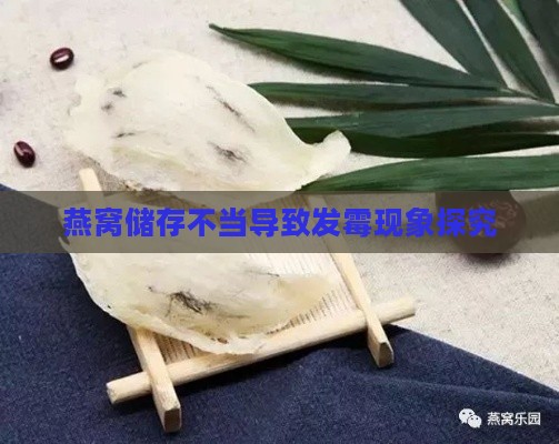 燕窝储存不当导致发霉现象探究