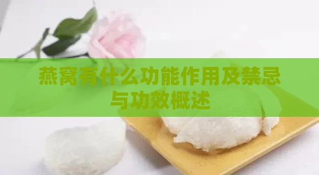 燕窝有什么功能作用及禁忌与功效概述