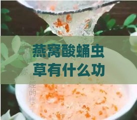 燕窝酸蛹虫草有什么功效