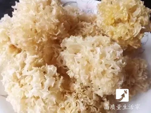 探讨银耳燕窝更佳饮用时间：提升吸收效果与营养价值的全面指南