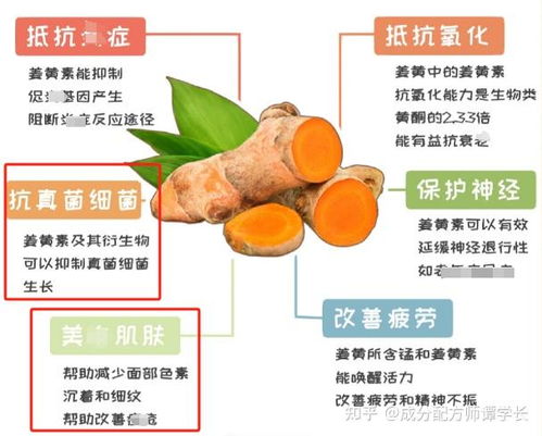 探究燕窝酸对人体可能的副作用及影响