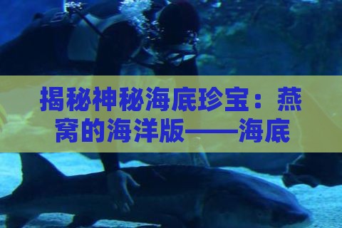 揭秘神秘海底珍宝：燕窝的海洋版——海底燕窝真相