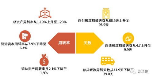 揭秘燕窝货源：全方位指南，助你找到优质燕窝供应渠道