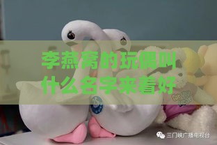 李燕窝的玩偶叫什么名字来着好听，究竟叫什么呢？