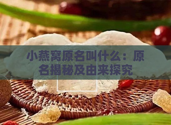 小燕窝原名叫什么：原名揭秘及由来探究